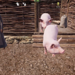 Two large pigs in a farm in Medieval Dynasty