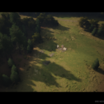 Will Manor Lords Be on Mac? Exploring Compatibility and Workarounds