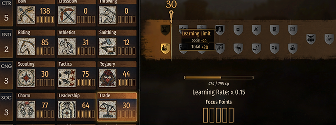 The various skills to learn in Bannerlord