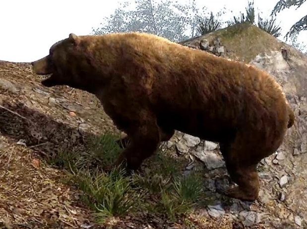 A large brown bear in Medieval Dynasty